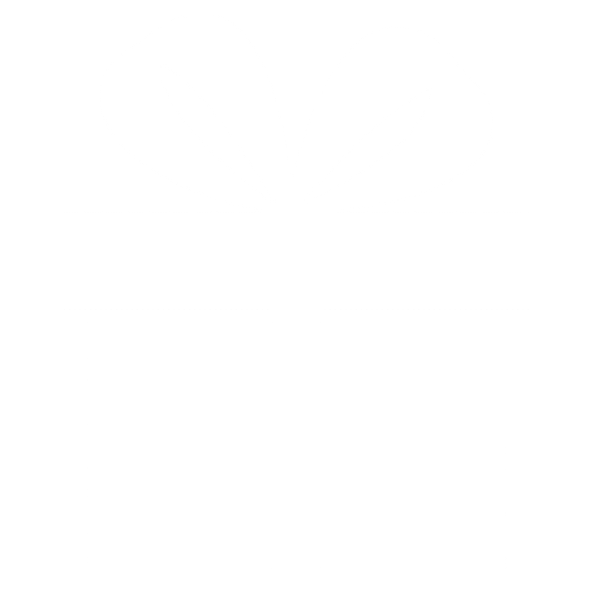 PROMO FORZA77